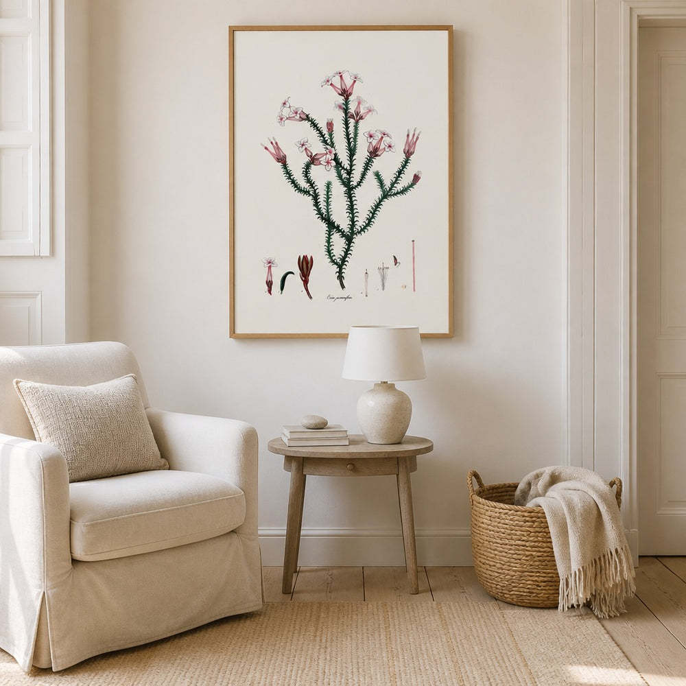Erica jasminiflora Cape fynbos art print framed in a South African farmhouse