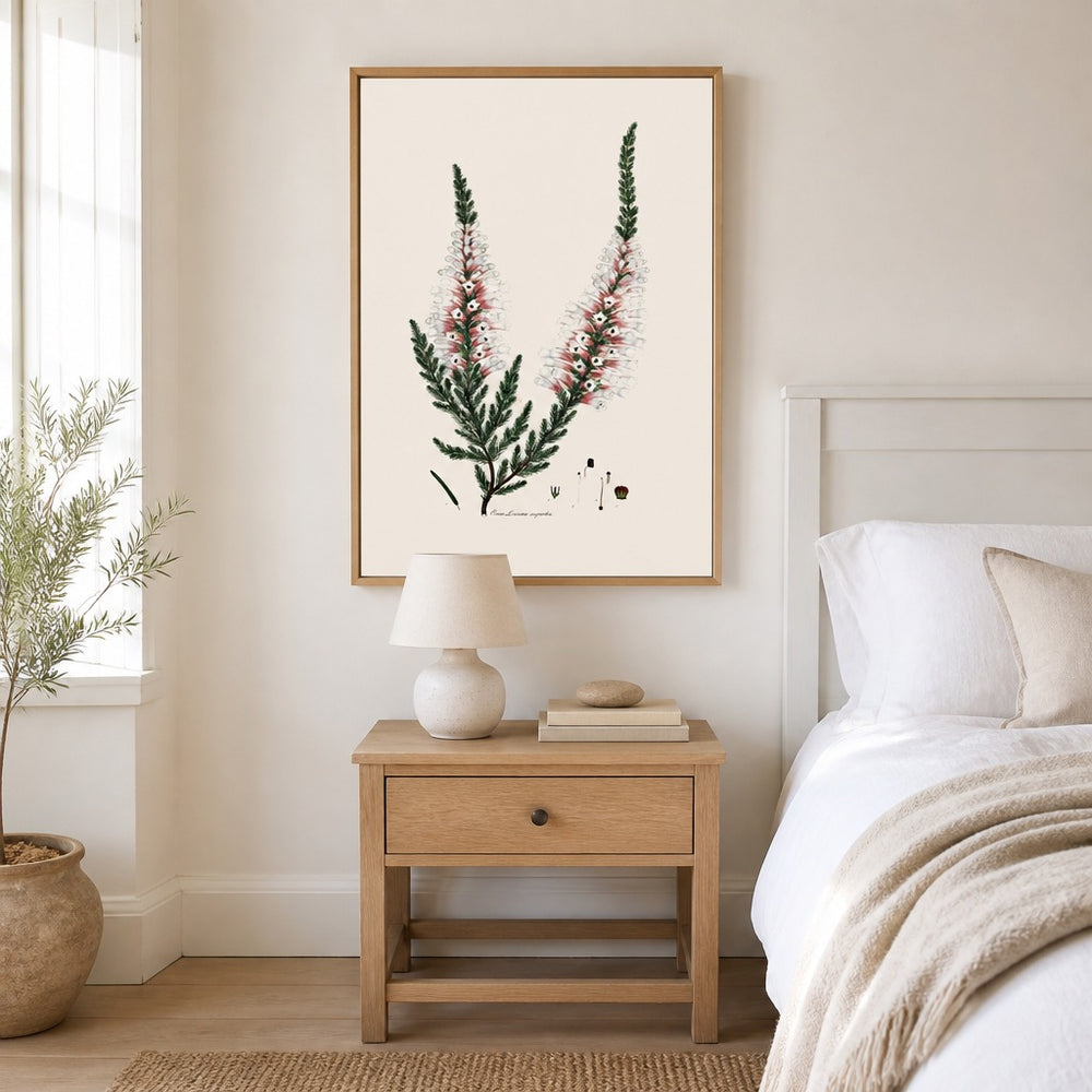 Erica linnaea superba Cape fynbos art print framed in a South African farmhouse