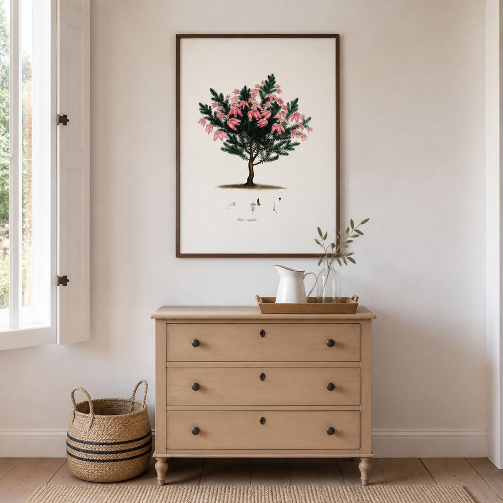 Erica magnifica Cape fynbos art print framed in a South African farmhouse
