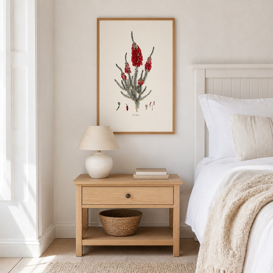 Cape Fynbos – Erica mammosa Art Print in a room setting