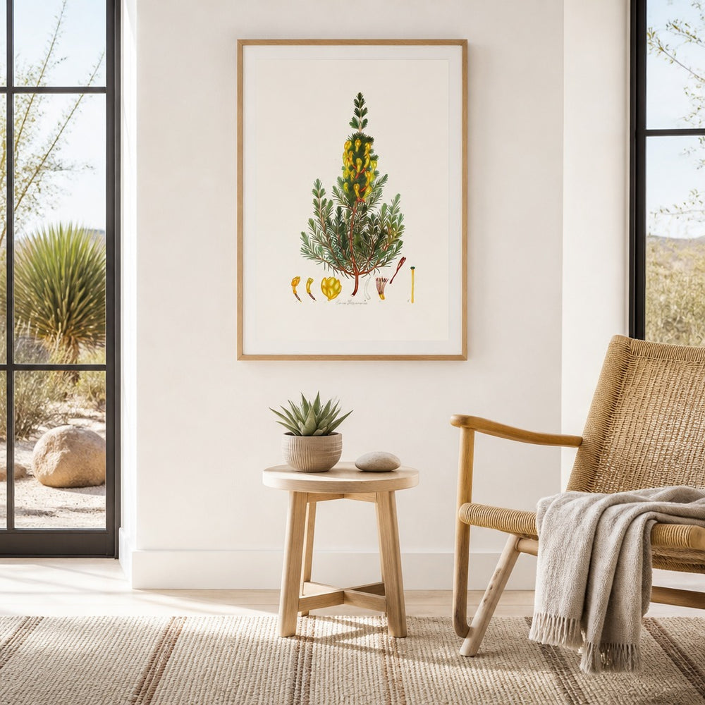 Erica petiveriana Cape fynbos art print framed in a South African farmhouse