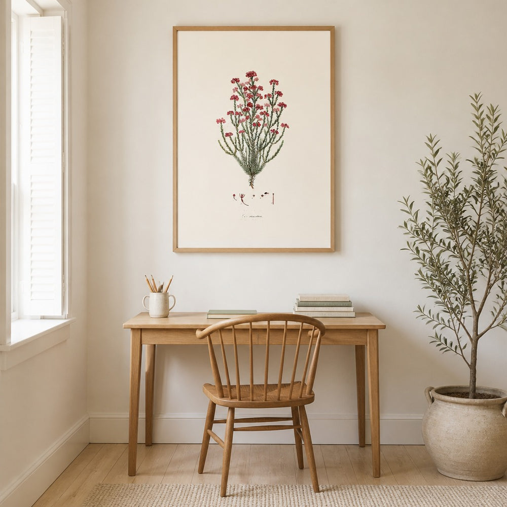 Erica ramentacea Cape fynbos art print framed in a South African farmhouse
