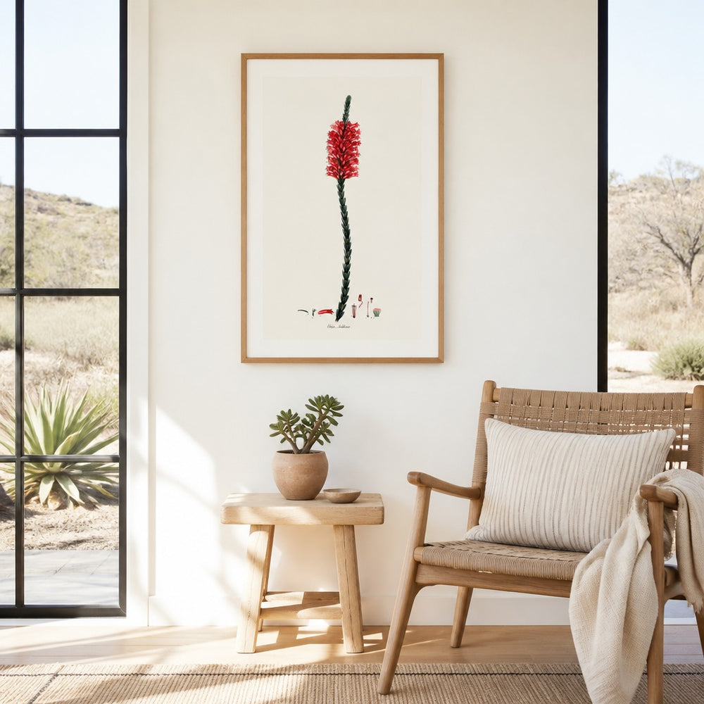 Erica salisburia Cape fynbos art print framed in a South African farmhouse