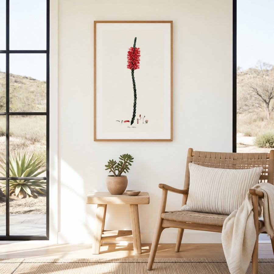 Cape Fynbos – Erica salisburia Art Print in a room setting