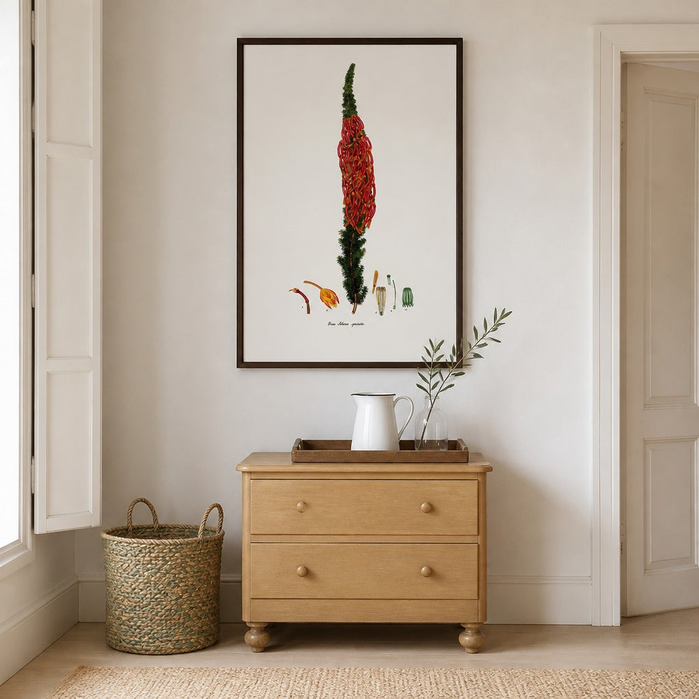 Erica sebana spicata Cape fynbos art print framed in a South African farmhouse