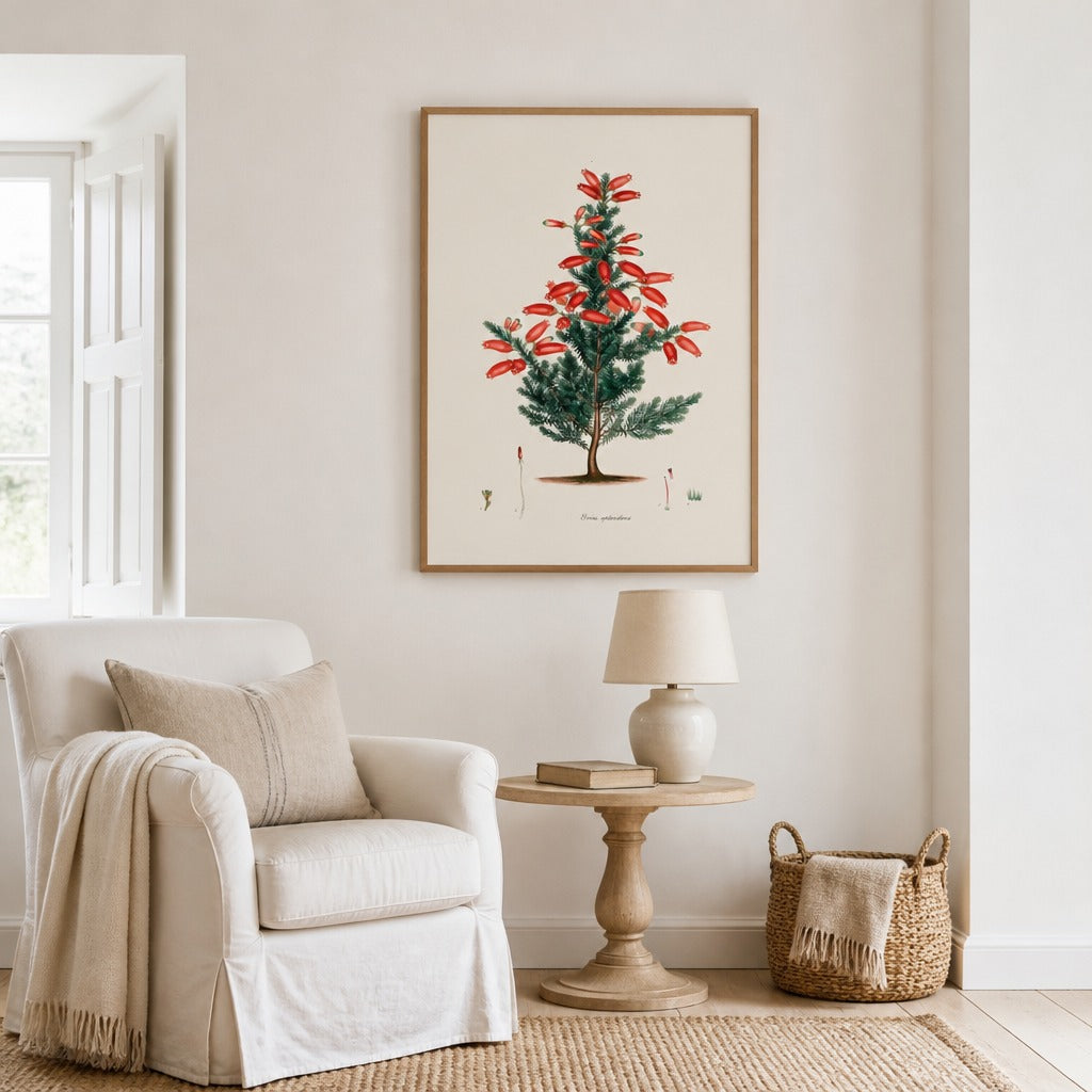Erica splendens Cape fynbos art print framed in a South African farmhouse