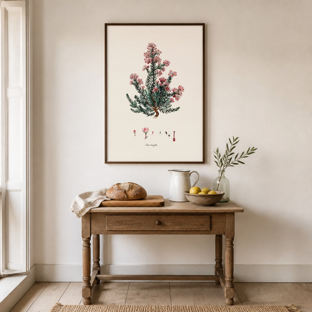 Erica taxifolia Cape fynbos art print framed in a South African farmhouse