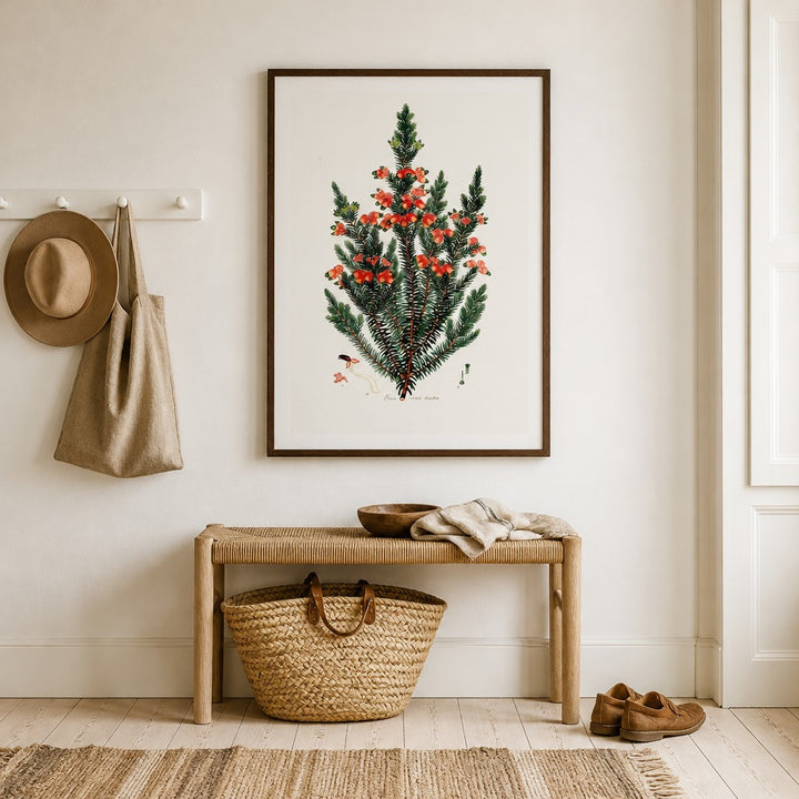 Erica vernix longiflora Cape fynbos art print framed in a South African farmhouse