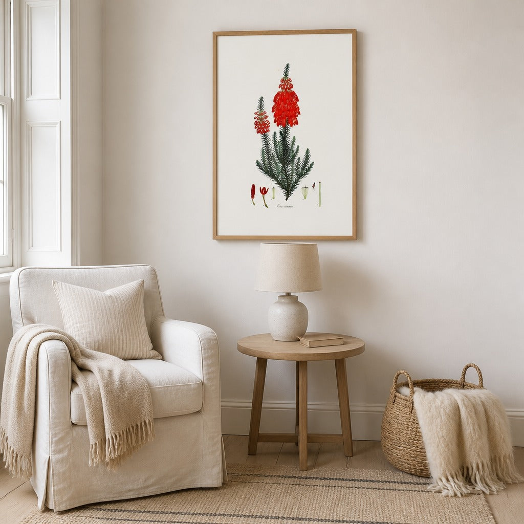 Erica verticillata Cape fynbos art print framed in a South African farmhouse