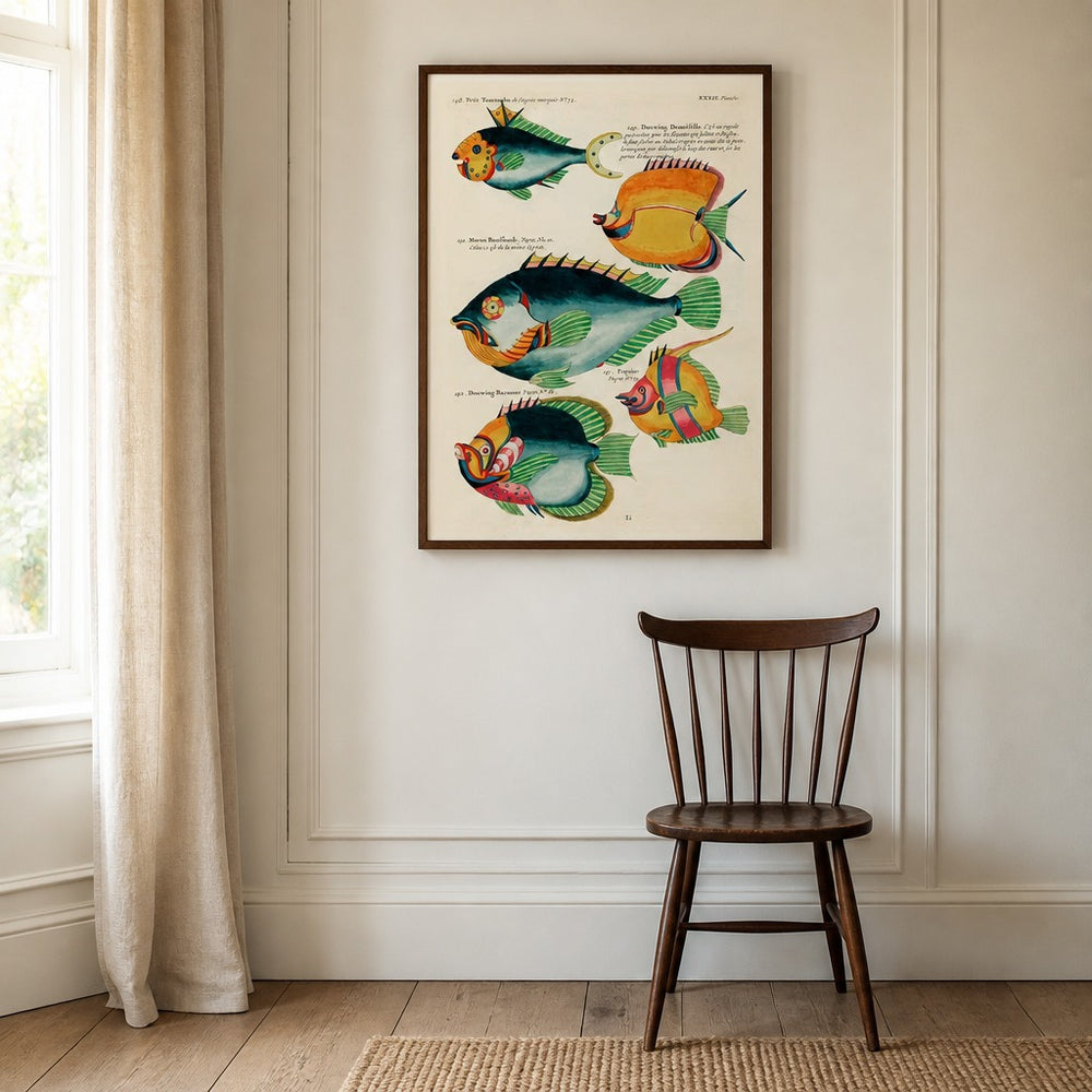 Colourful Vintage Fish by Louis Renard 2 framed in a light country home