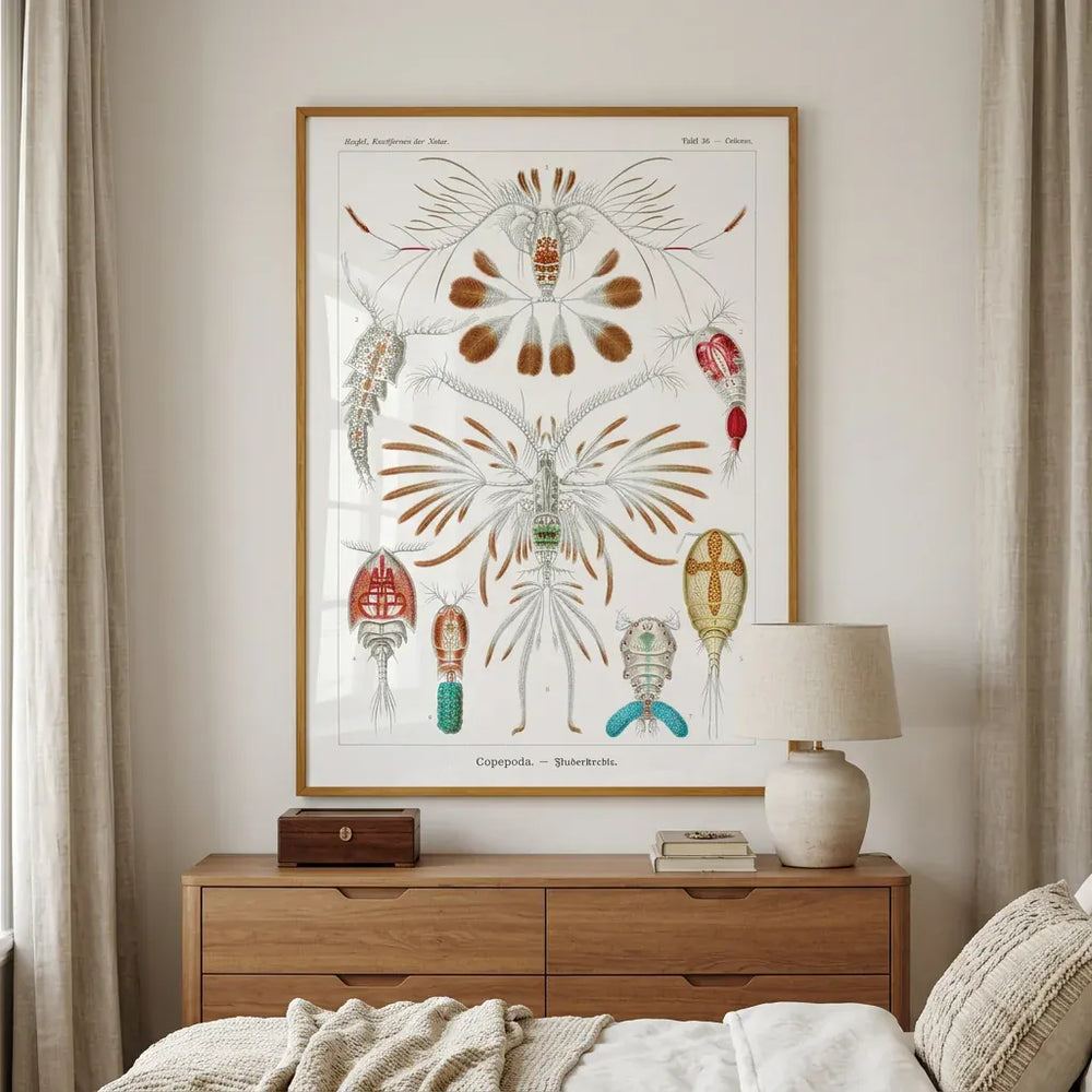 Room mockup featuring Copepoda by Ernst Haeckel Art Print