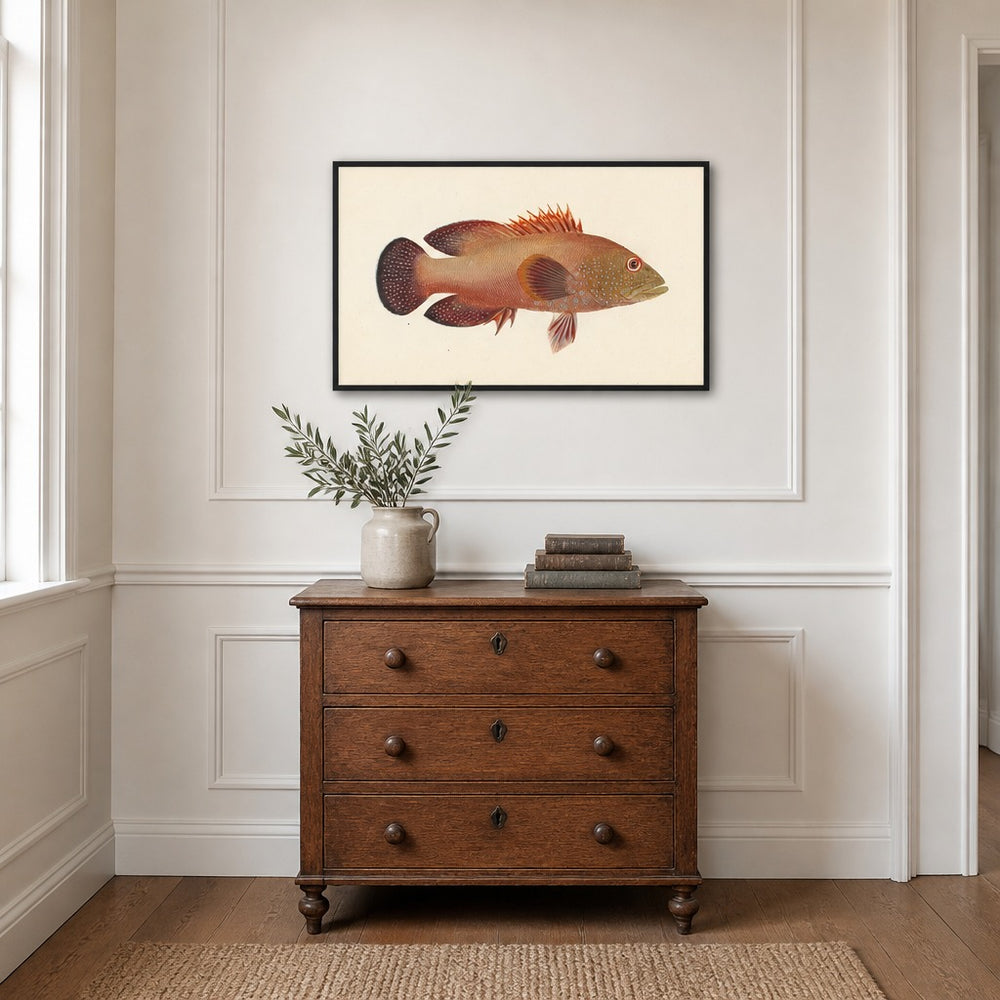Coral Grouper by Luigi Balugani framed in a light country home