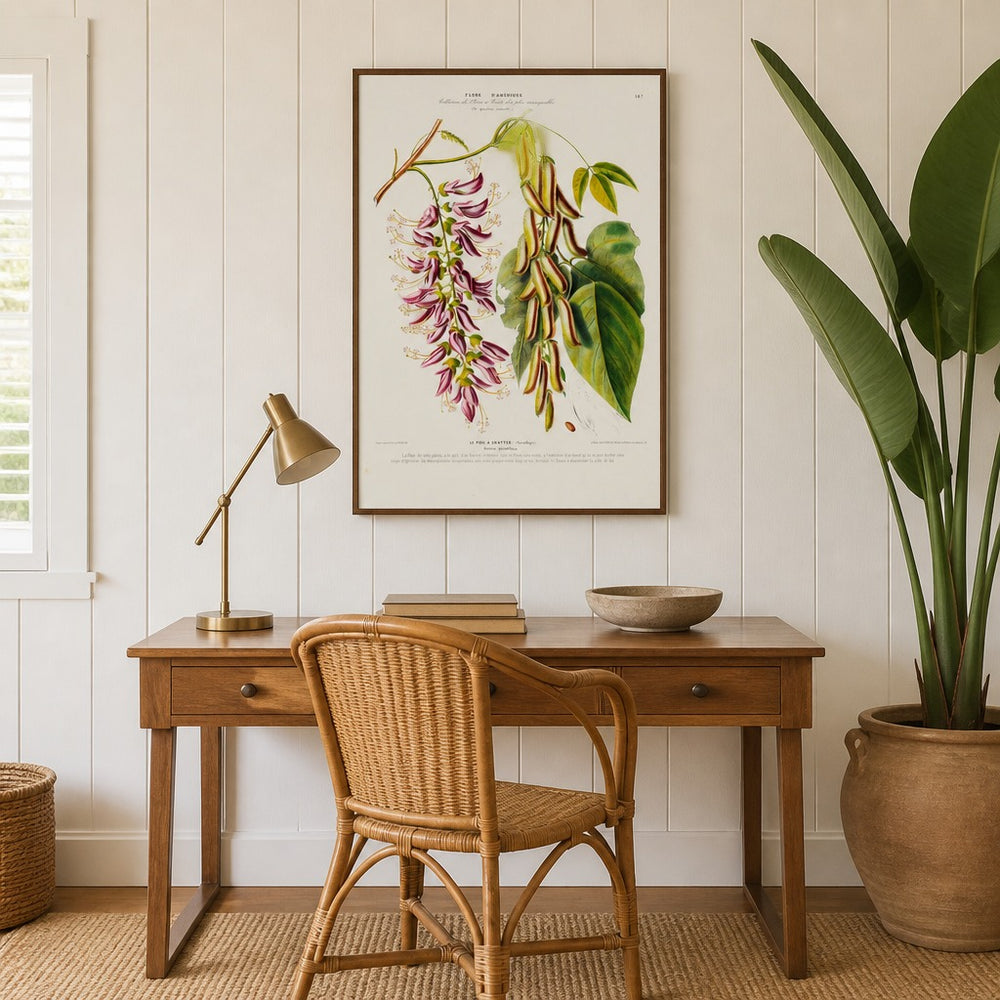 Cowhage Vine Vintage Botanical Art Print in a styled room