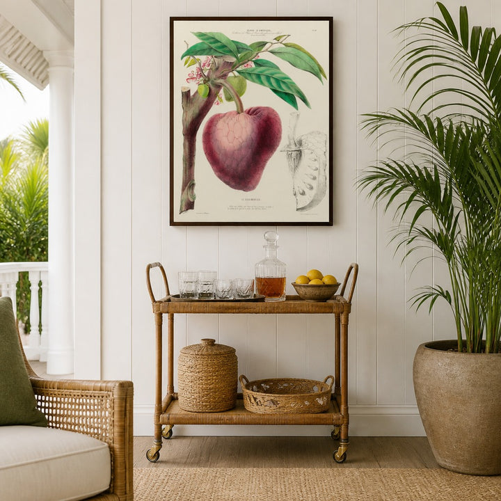 Custard Apple Vintage Botanical Art Print in a styled room