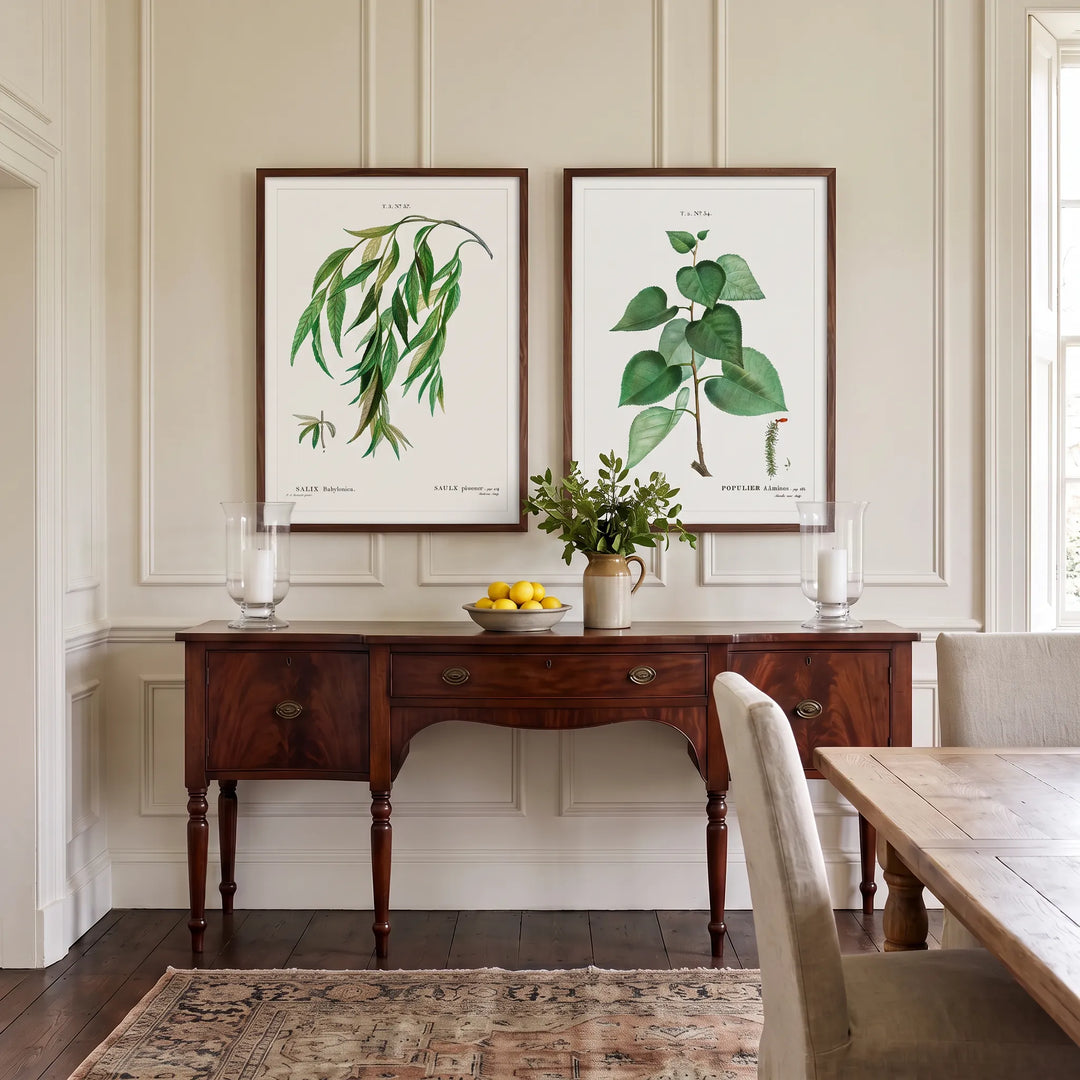 Weeping Willow and Populus Graeca Vintage Leaf Pair framed above a dining room server