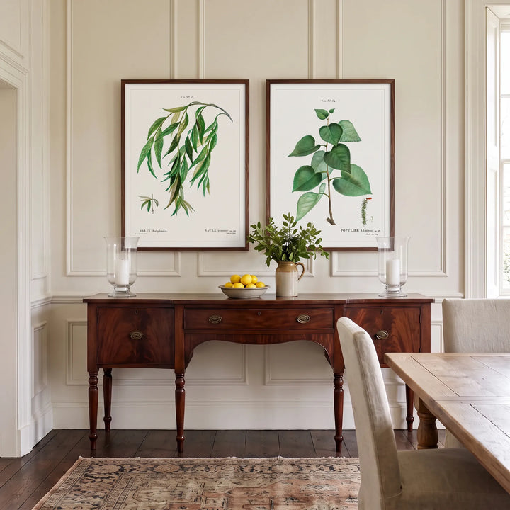 Weeping Willow and Populus Graeca Vintage Leaf Pair framed above a dining room server