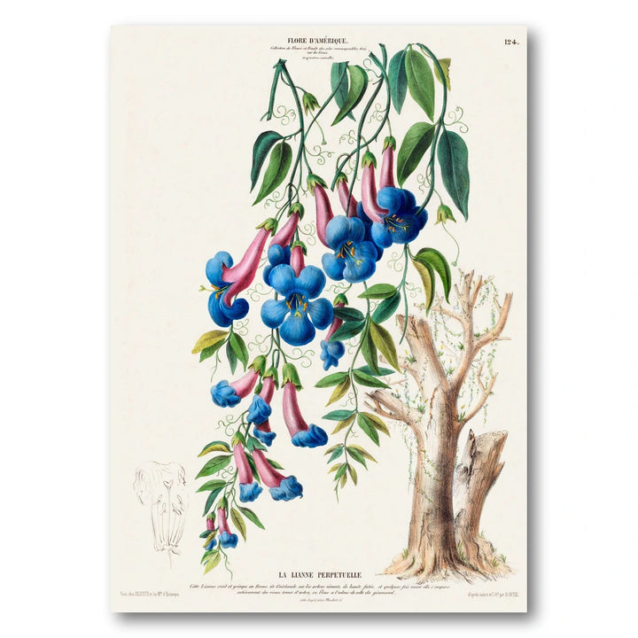 Perpetual Vine Vintage Botanical Art Print