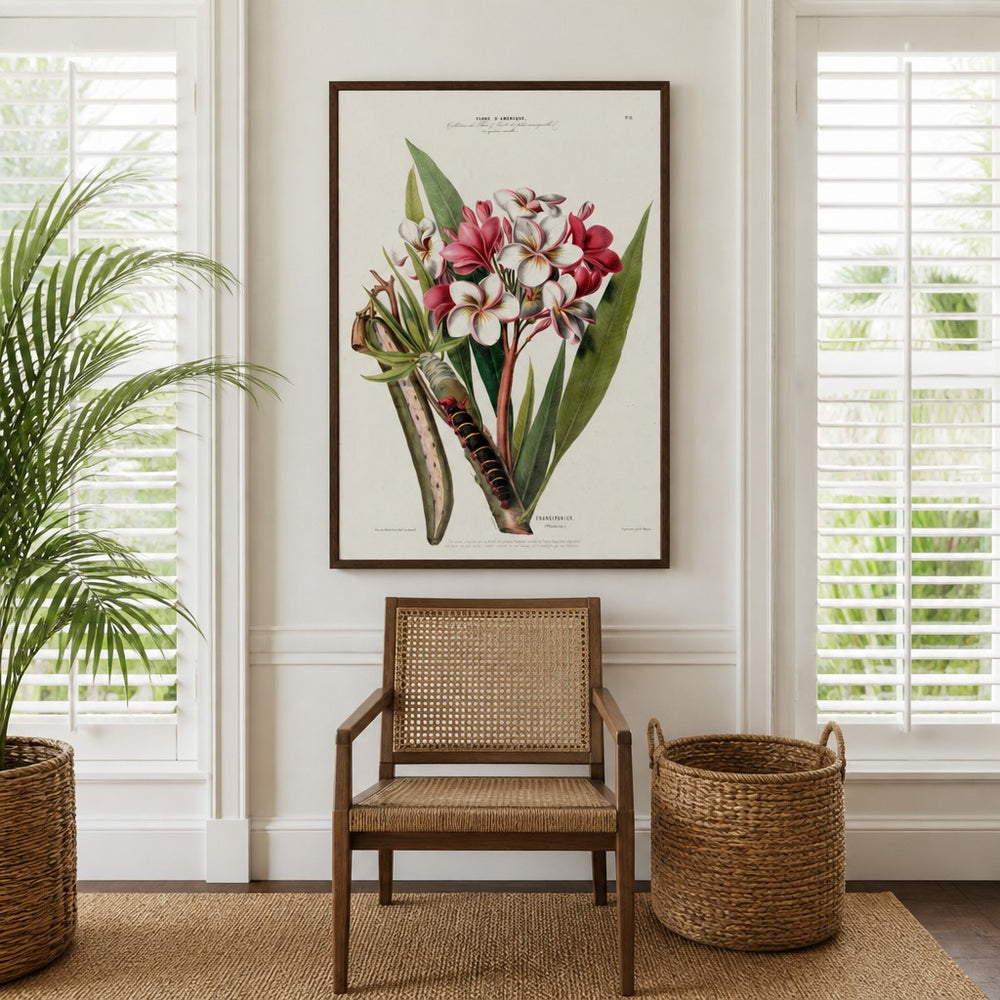 Frangipani Vintage Botanical Art Print in a styled room