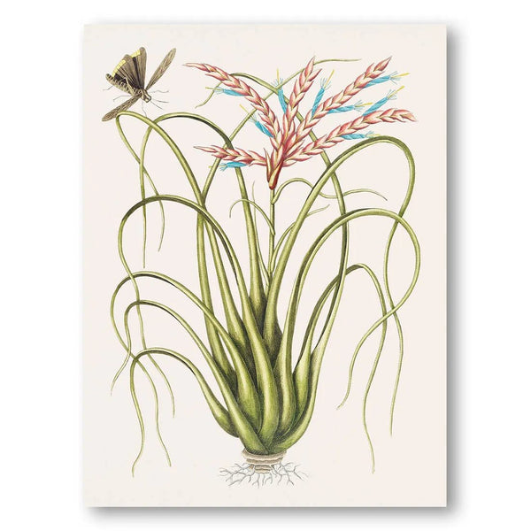 Botanical Elegance with Dragonfly Vintage Art Print