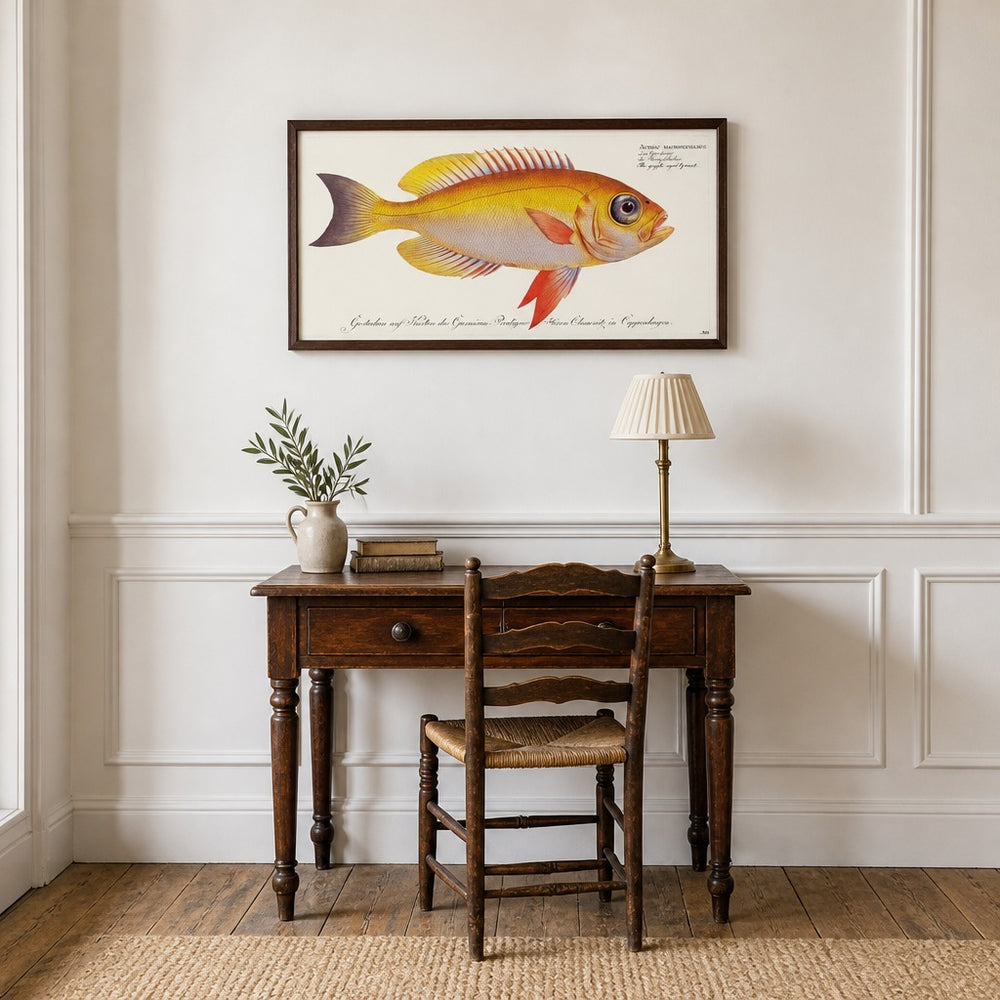 Goggle-eyed Grunt Illustration framed in a light country home