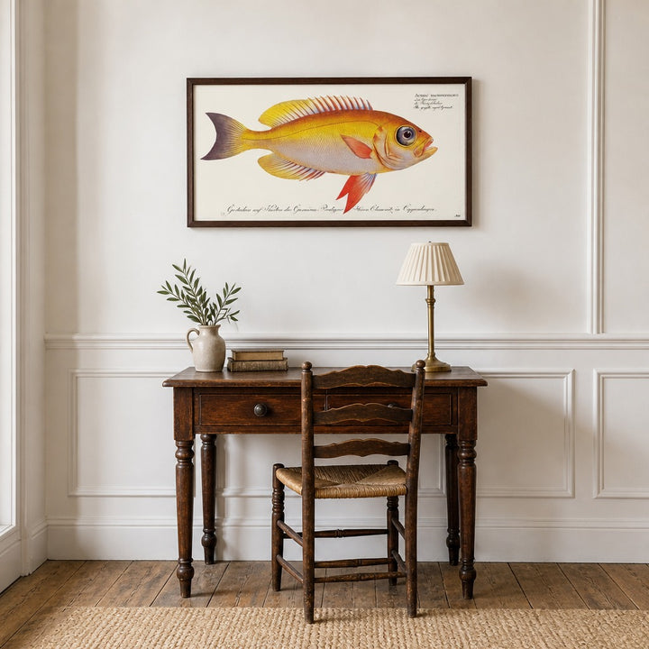 Goggle-eyed Grunt Illustration framed in a light country home