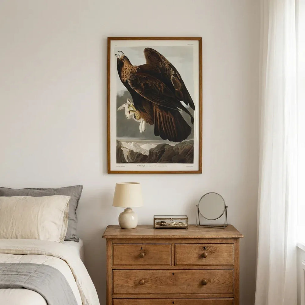Room mockup featuring Golden Eagle by John James Audubon Art Print