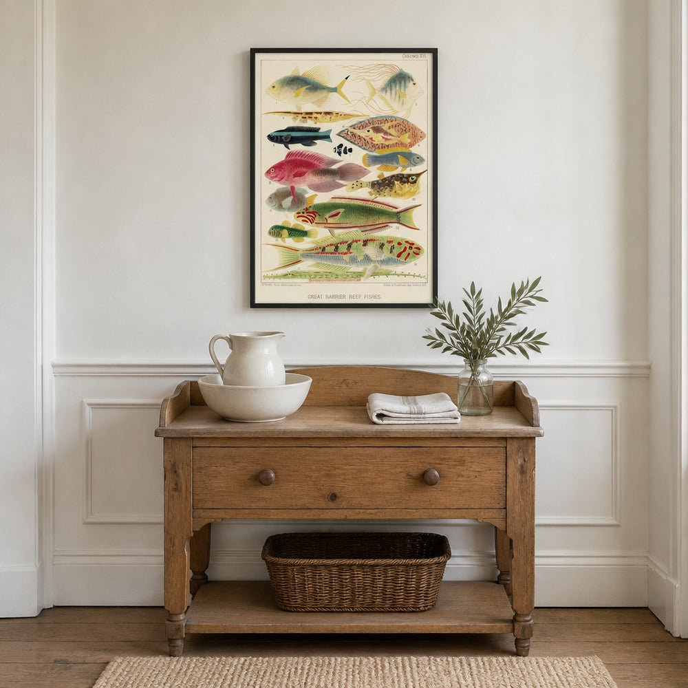 Great Barrier Reef Vintage Fish 2 framed in a light country home