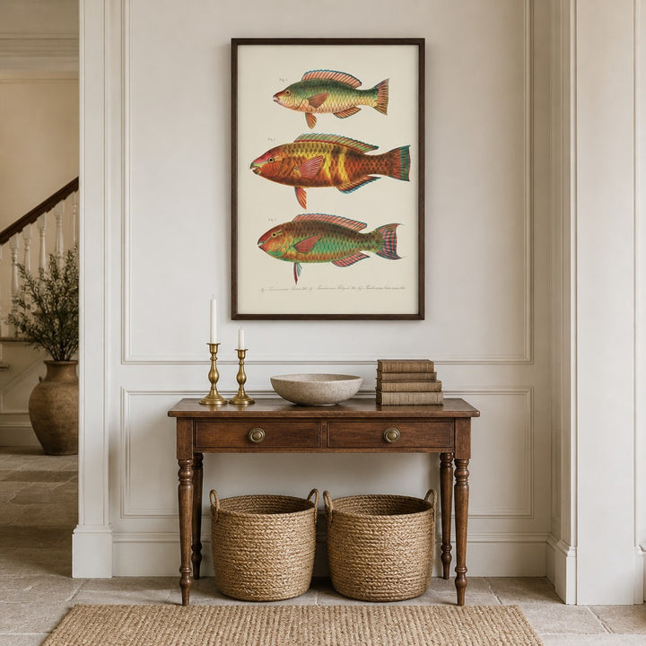 Indo-Pacific Parrotfish No. 12 vintage fish art print framed in a traditional home