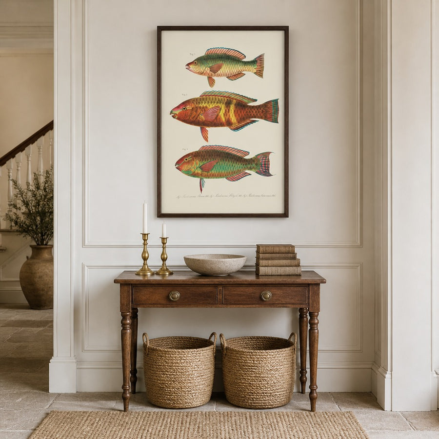 Indo-Pacific Parrotfish No. 12 Art Print in a room setting