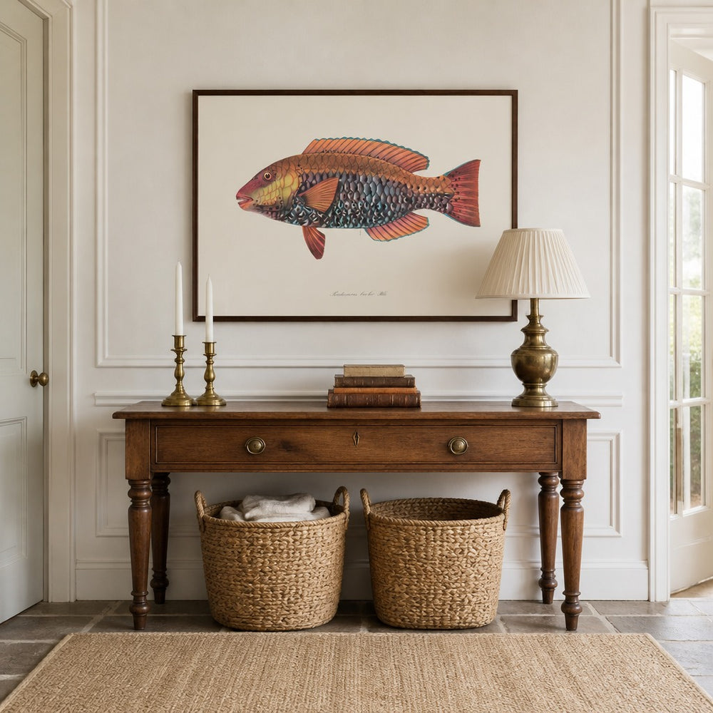Indo-Pacific Parrotfish No. 14 vintage fish art print framed in a traditional home