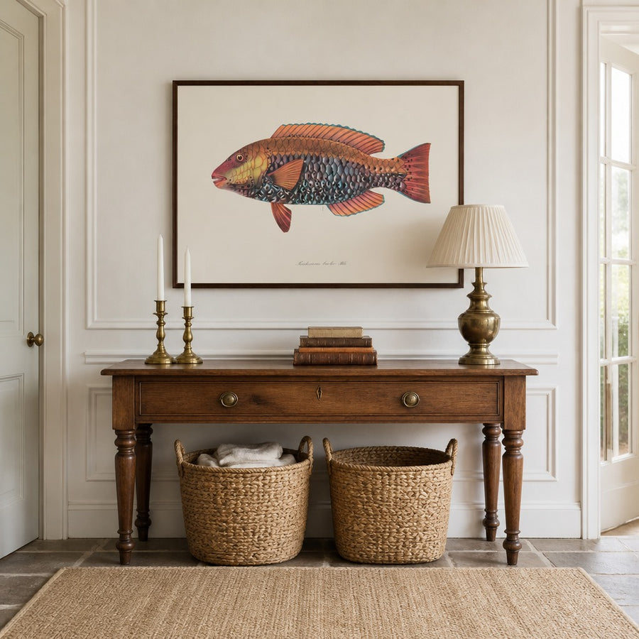 Indo-Pacific Parrotfish No. 14 Art Print in a room setting