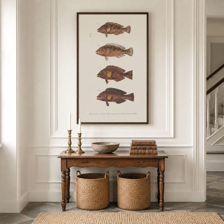 Indo-Pacific Parrotfish No. 2 vintage fish art print framed in a traditional home