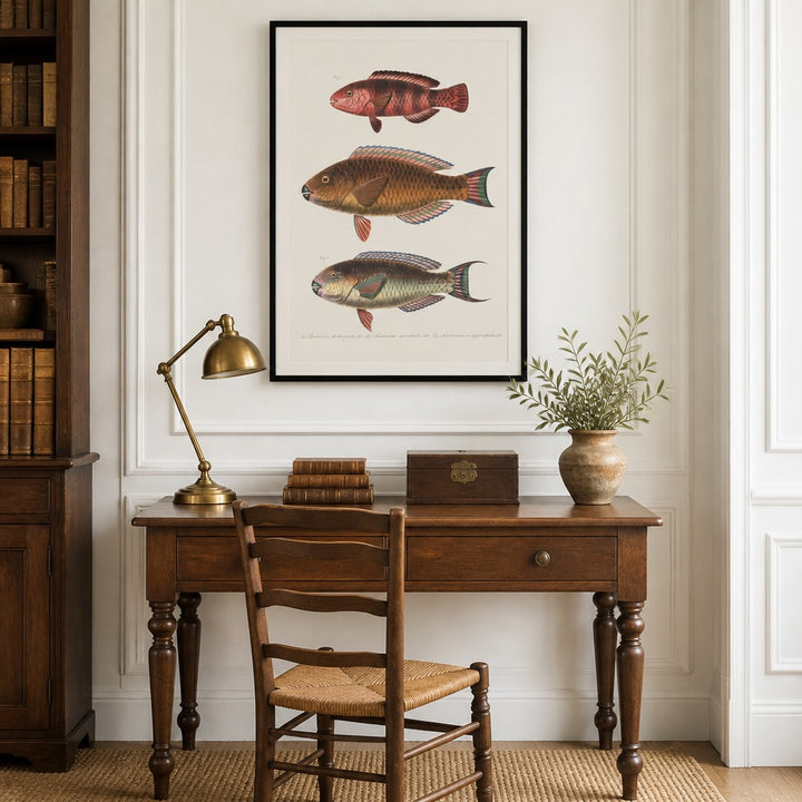 Indo-Pacific Parrotfish No. 4 vintage fish art print framed in a traditional home