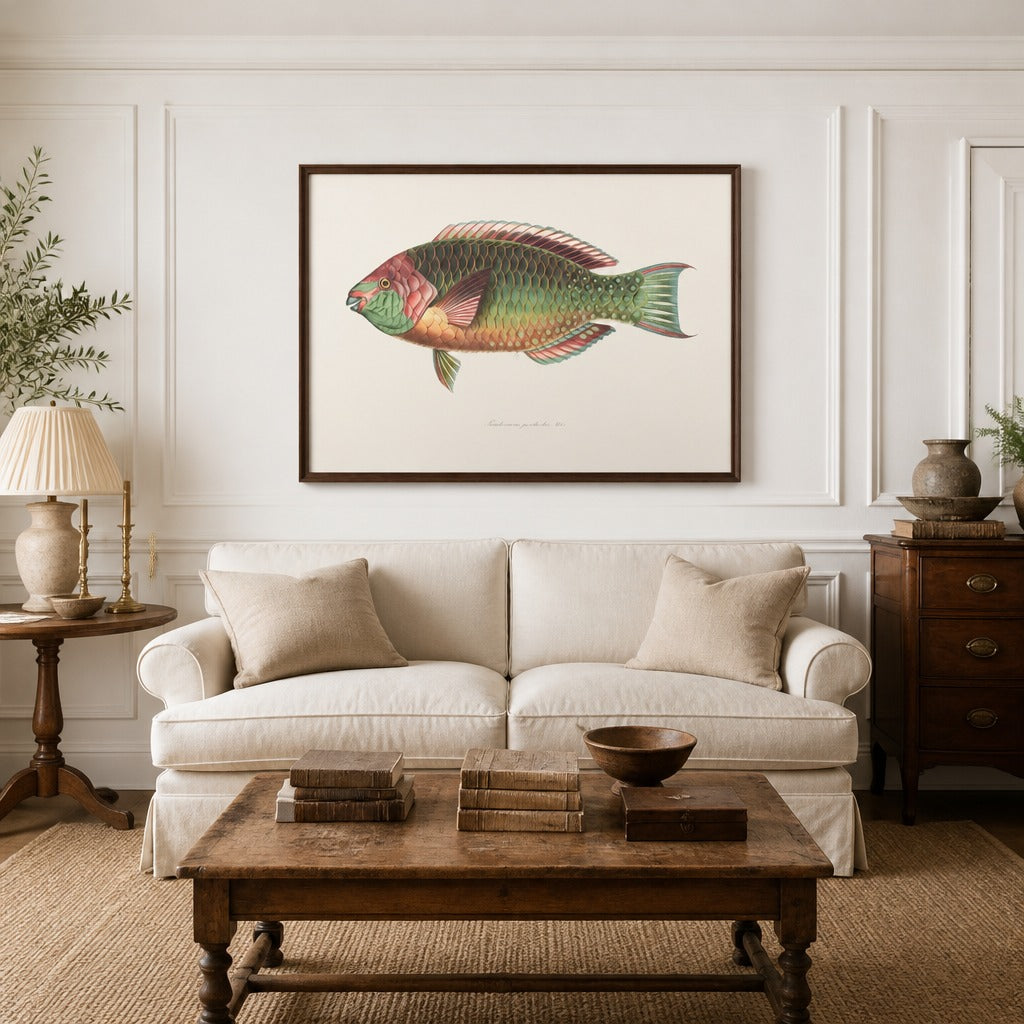 Indo-Pacific Parrotfish No. 5 vintage fish art print framed in a traditional home