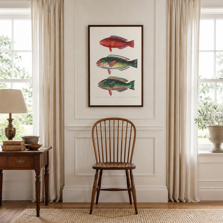 Indo-Pacific Parrotfish No. 6 vintage fish art print framed in a traditional home