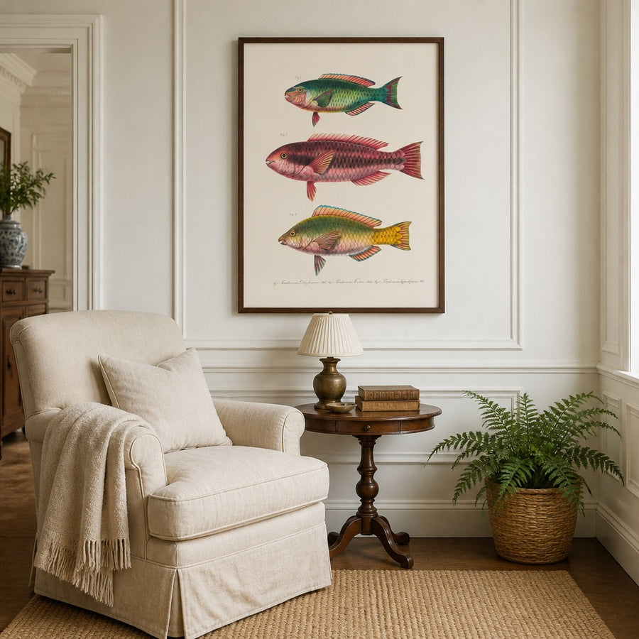 Indo-Pacific Parrotfish No. 8 Art Print in a room setting