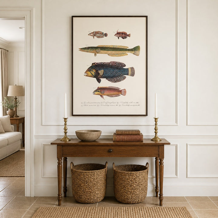 Indo-Pacific Wrasse No. 13 vintage fish art print framed in a traditional home