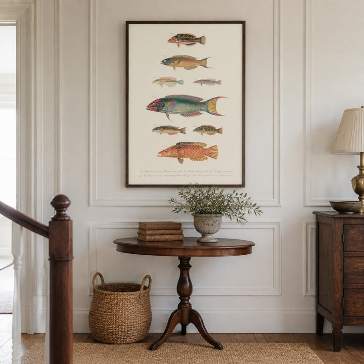 Indo-Pacific Wrasse No. 15 vintage fish art print framed in a traditional home