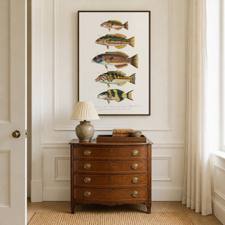 Indo-Pacific Wrasse No. 16 vintage fish art print framed in a traditional home