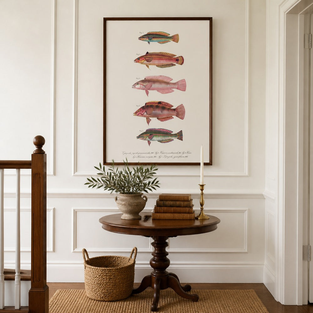 Indo-Pacific Wrasse No. 18 vintage fish art print framed in a traditional home