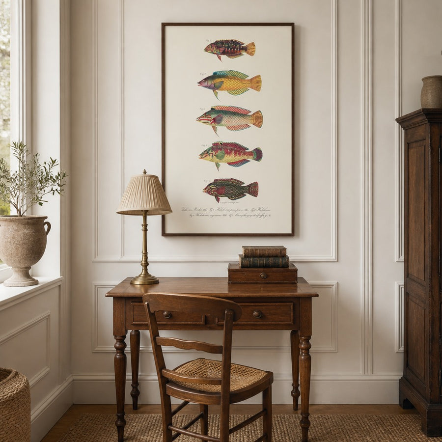 Indo-Pacific Wrasse No. 19 Art Print in a room setting