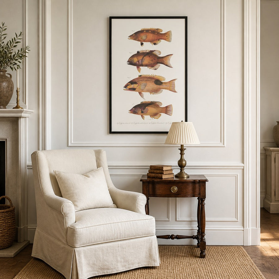 Indo-Pacific Wrasse No. 20 Art Print in a room setting