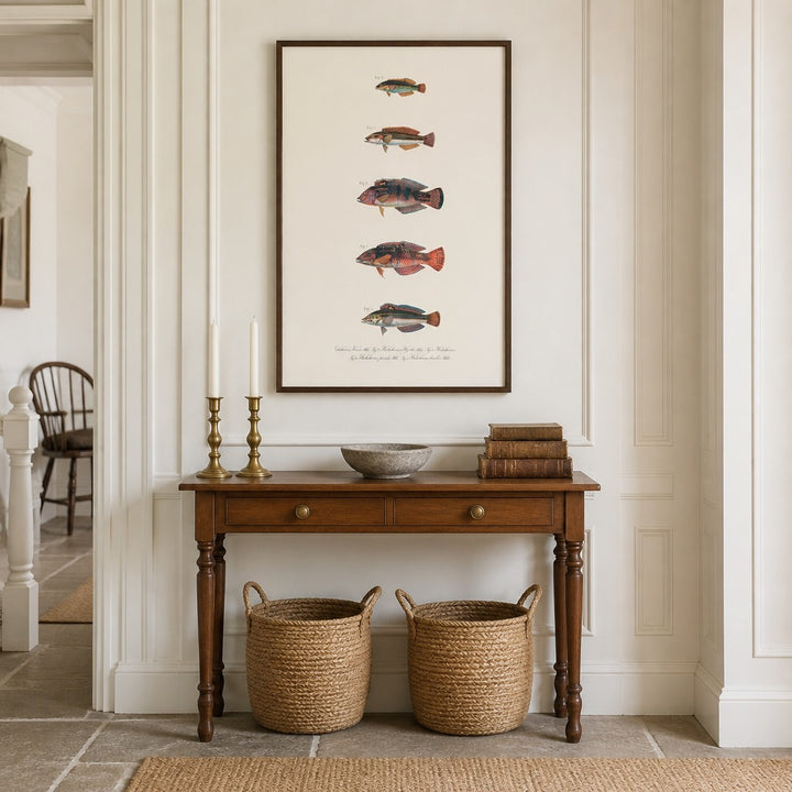 Indo-Pacific Wrasse No. 21 vintage fish art print framed in a traditional home
