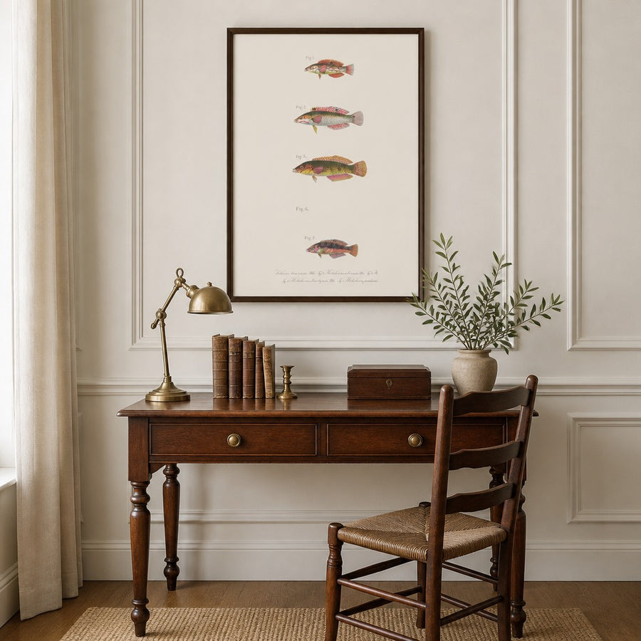 Indo-Pacific Wrasse No. 22 Art Print in a room setting