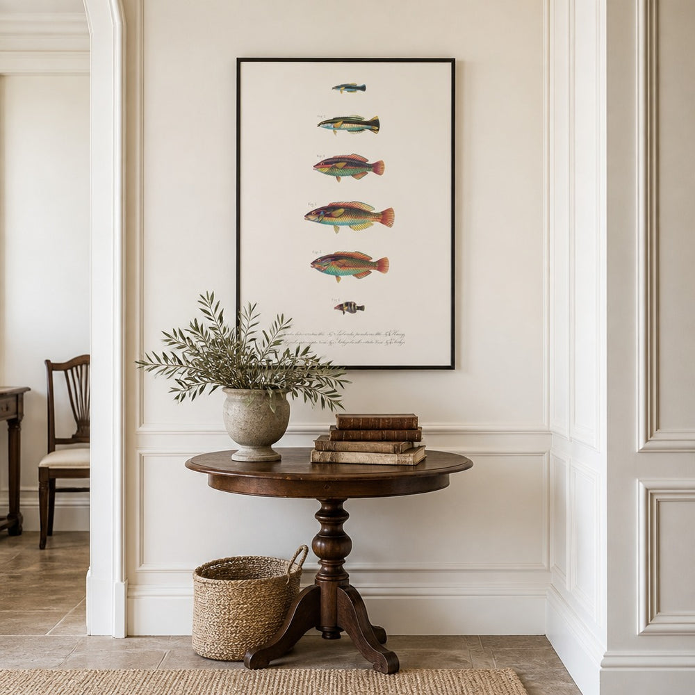 Indo-Pacific Wrasse No. 26 vintage fish art print framed in a traditional home