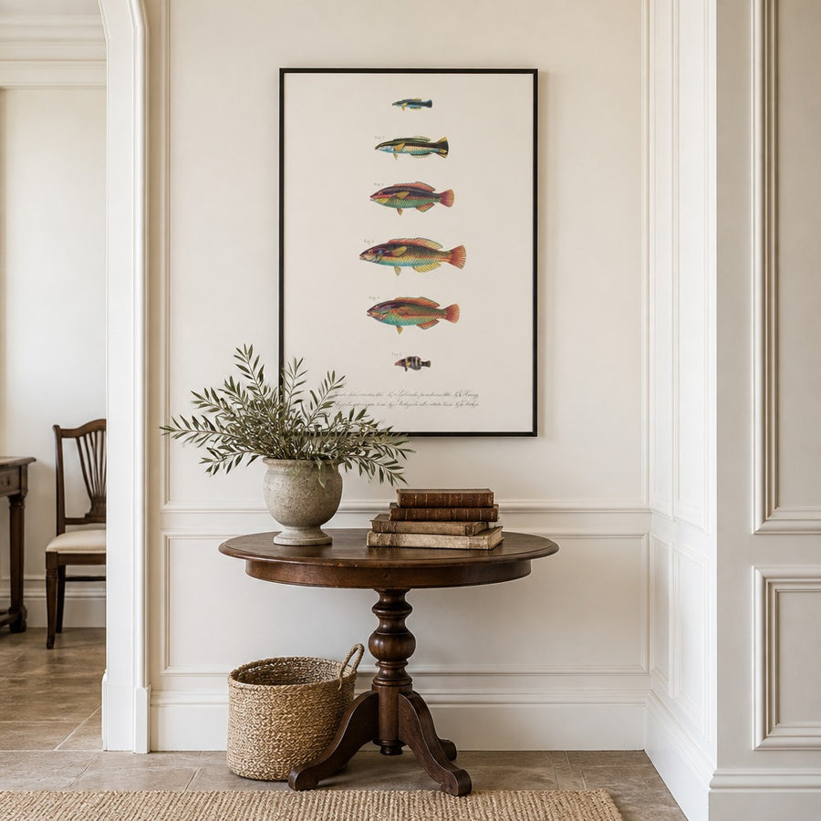 Indo-Pacific Wrasse No. 26 Art Print in a room setting