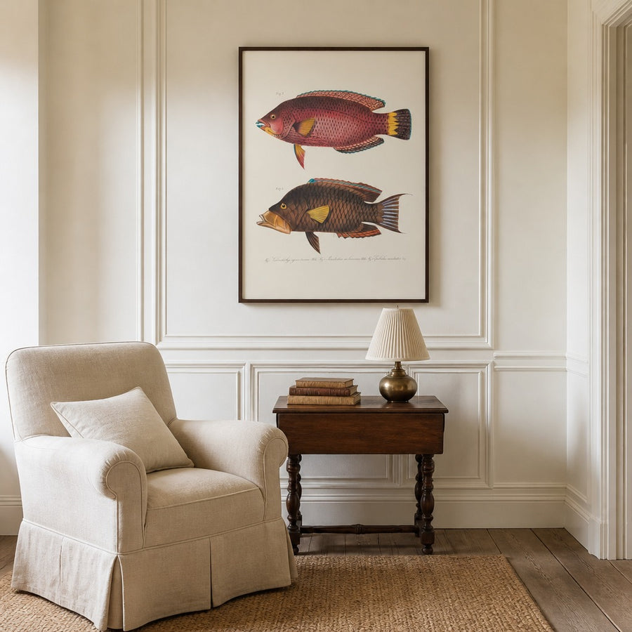 Indo-Pacific Wrasse No. 4 Art Print in a room setting