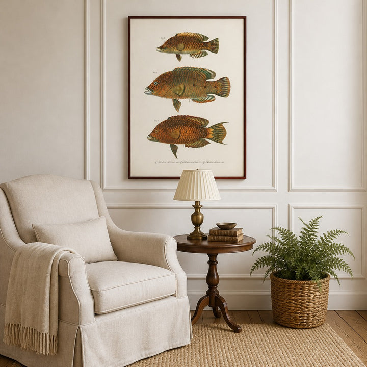 Indo-Pacific Wrasse No. 9 vintage fish art print framed in a traditional home