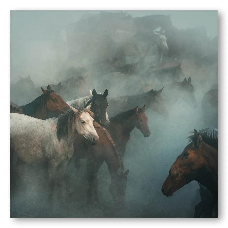 Mystic Herd Photo Print