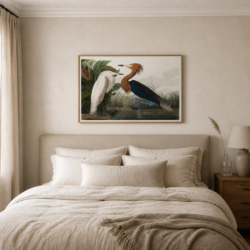 Room mockup featuring Purple Heron by John James Audubon Art Print